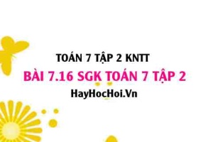 Bài 7.16 SGK Toán 7 tập 2 Kết nối tri thức